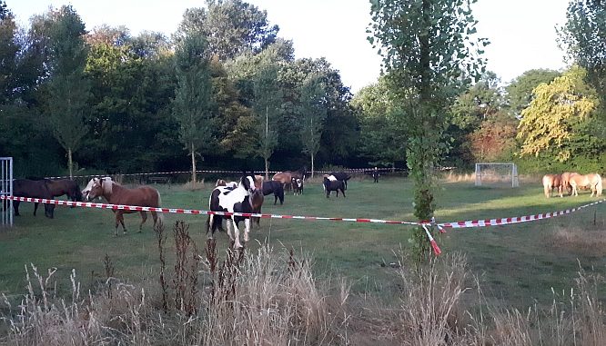 Bolzplatz Weidkämpe, Quelle: Polizeidirektion Hannover